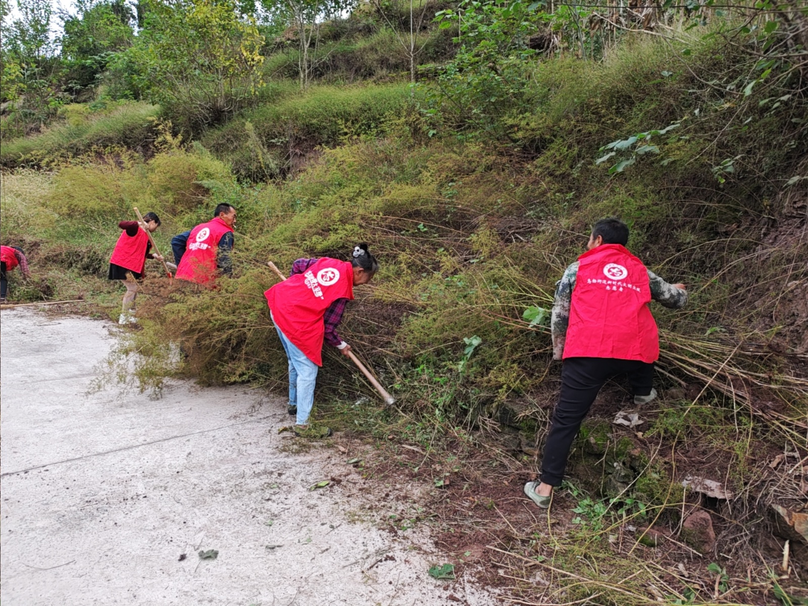 (图5)楠木村清扫3组上细坝公路.jpg