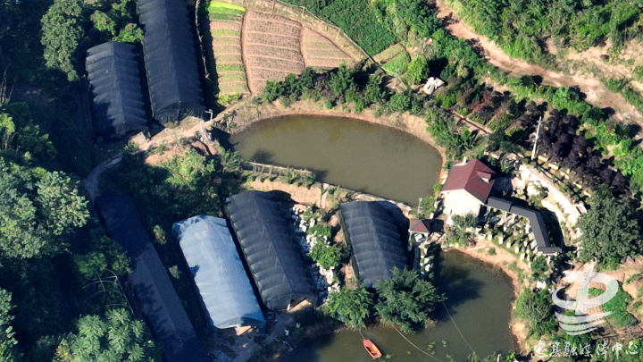 KAIYUN为美丽忠县建设赋能！这家本土企业园林绿化产品畅销市场(图1)