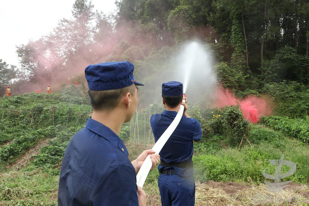 群防群治百日攻坚3.png ""